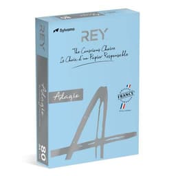 Ramette couleur vive 500 feuilles 80g A4 à la teinte - bleu ciel (vif) - Image principale