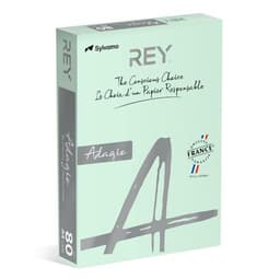Ramette couleur vive 500 feuilles 80g A4 à la teinte - vert clair (vif) - Image principale