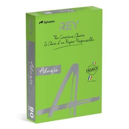 Ramette couleur vive 500 feuilles 80g A4 à la teinte - vert pomme (intense) - Image principale