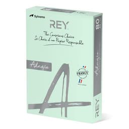 Ramette couleur vive 500 feuilles 80g A4 à la teinte - vert clair (vif) - Image 3
