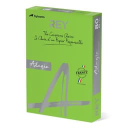 Ramette couleur vive 500 feuilles 80g A4 à la teinte - vert pomme (intense) - Image 2