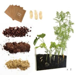 Coffret d'observation des racines - Image principale