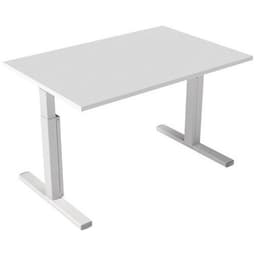 Bureau droit Inesa avec pied réglable en T Blanc 120 cm - Image principale