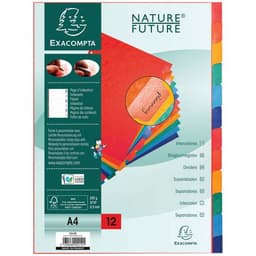 Lot de 15 Intercalaire carte lustrée 225g avec onglets 12 positions A4 - Image principale