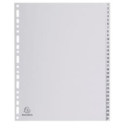 Lot de 5 Intercalaires numériques pp gris 31 positions - a4 maxi - Image principale