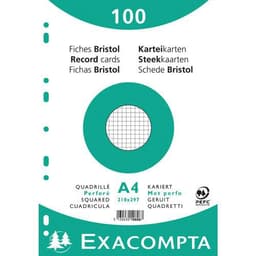 Lot de 10 Paquet 100 fiches sous film quadrillé perforé 210x297mm - Image principale