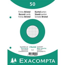 Lot de 24 Paquet 50 fiches sous film quadrillé perforé 170x220mm - Image principale