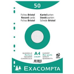 Lot de 20 Paquet 50 fiches sous film quadrillé 5x5 perforé 210x297mm - Image principale