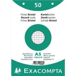 Lot de 20 Paquet 50 fiches sous film quadrillé 5x5 perforé 148x210mm - Image principale