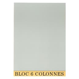 Lot de 5 Bloc de contrôle comptable 29,7x21cm 6 col. 70 feuillets - Image principale