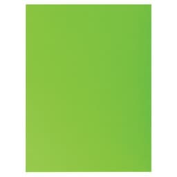 Lot de 10 paquets 25 chemises rock''s 220 double A4 ou A3 24x32cm Vert - Image principale