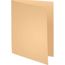 Lot de 5 paquets de 100 chemises forever® 250 recyclé  -24x32cm Bulle - Image principale