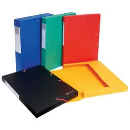 Boite de classement exabox dos 60mm carte lustrée scotten A4 - Image principale