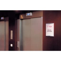 Plaque de porte Pyxis - 60 x 100 mm - Image 2