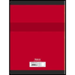 CONQUERANT Cahier de Travaux Pratiques 24x32cm Grands Carreaux Seyès/Uni Blanc 96 Pages Agrafées Couverture Ca - Image 3