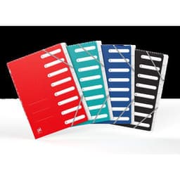OXFORD Trieur Standard A4 8 Positions Couverture Carte Coloris Assortis - Image principale