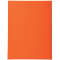 Chemises Forever 170 100% recyclé - 24x32cm - Image 3