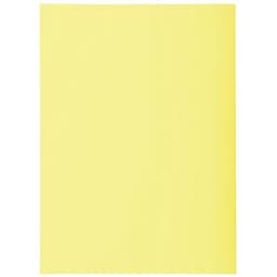 Sous-chemises SUPER 60 paquet de 100 - 22x31cm - Image 5