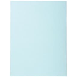 Lot de 5 paquets 100 chem. Forever 170 100% recyclé 24x32cm bleu clair - Image principale