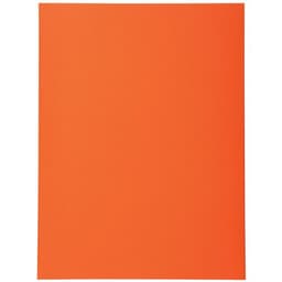 Lot de 5 paquets de 100 chem. Forever 170 100% recyclé 24x32cm orange - Image principale