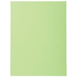 Lot de 5 paquets 100 chem. Forever 170 100% recyclé 24x32cm vert bleu - Image principale