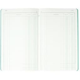 Lot de 5 Piqûre 32x19,5cm recettes-dépenses 80 pages - Image 3