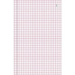 Lot de 10 Manifold quadrillé 5x5 21x13,5cm 50 feuillets dupli autocop. - Image 3