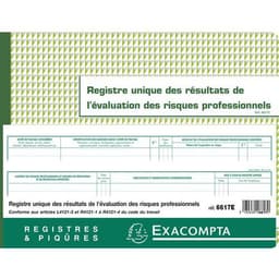 Lot de 5 Registre unique des résultats de l'évaluation des risques profess. - Image 3