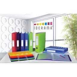 Lot de 10 Classeur 4 anneaux 30mm IDERAMA PP 7/10e - A4 maxi - Anis - Image 2