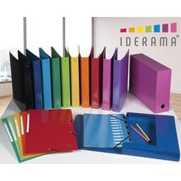 Lot de 6 Trieur Harmonika Iderama 12 compartiments bleu rose - Image 4