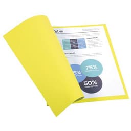 Lot de 5 paquets de 100 chem. Forever 170 100% recyclé 24x32cm jaune - Image 2