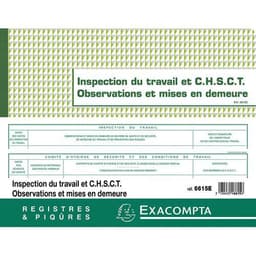 Lot de 5 Registre de l'Inspection du travail et du CHSCT - folioté - 16 pages - Image 4
