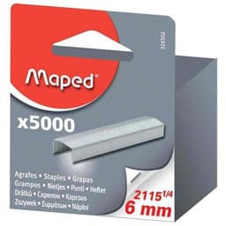 Agrafes type SP19 (Boite de 5000) - Image principale