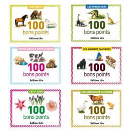 Série de 5 boîtes 100 bons points assortis - Image principale