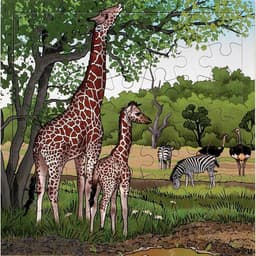 Puzzle girafes - 49 pièces - Image principale