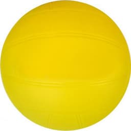 Ballon de volley - Image principale