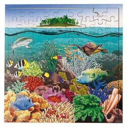 Puzzle des récifs coralliens - Image principale