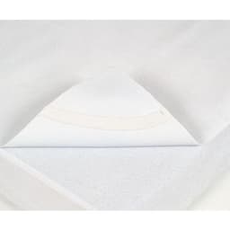 Alèse forme plateau - Image principale