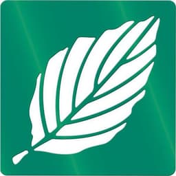 Ensemble de 12 pochoirs variétés de feuilles d'arbres 200 x 200 mm - Image principale