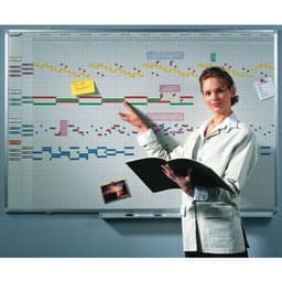 PROFESSIONAL planning annuel 12 mois 75x150cm Émail - Image 2