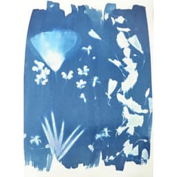 Kit 2 flacons préparation cyanotype - Image 9