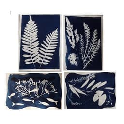 Kit 2 flacons préparation cyanotype - Image 3