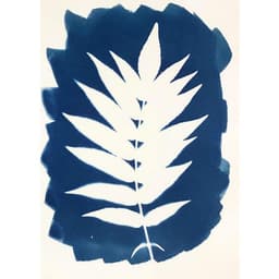 Kit 2 flacons préparation cyanotype - Image 7