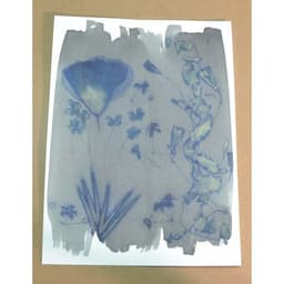 Kit 2 flacons préparation cyanotype - Image 11