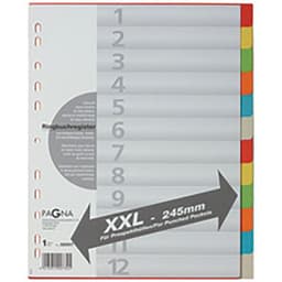 Set de 6 Intercalaires en carton, format A4, 12 positions,extra - Image principale