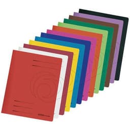 Lot de 12 Chemise à lamelles easyorga, carte lustrée, vert - Image principale