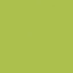 Meuble patère à cases Zébulon, coloris vert pomme - Image 2