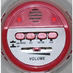 Porte Voix fonction enregistrement 20 Watts - Image 3
