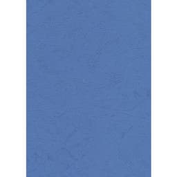 Carton 'veiné cuir' (Boite de 100) - bleu - Image principale