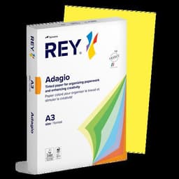 Ramette couleur vive 500 feuilles 80g A3 à la teinte - Rey - Image principale